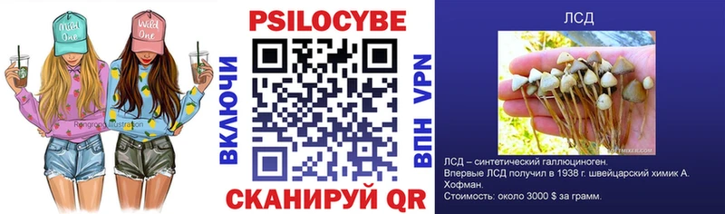 Псилоцибиновые грибы Cubensis  Ангарск 