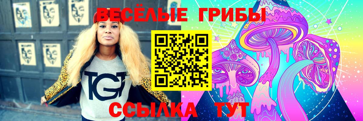 Псилоцибиновые грибы Psilocybe  Вход с VPN  Галлюциногенные грибы Magic Shrooms  купить наркотик  Ангарск 